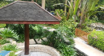 南寧嘉和城溫泉谷游覽全攻略 門(mén)票、地址、游玩路線與管理解析